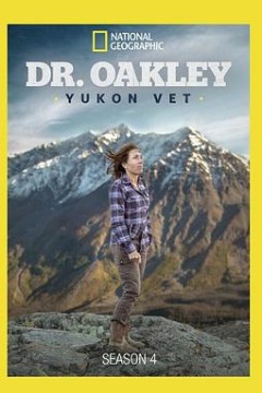 育空兽医第四季