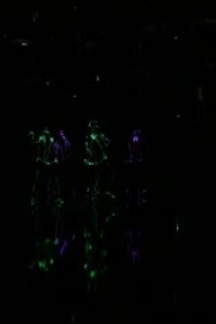 NBA常规赛 猛龙VS独行侠 20251027