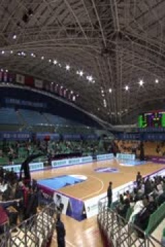 WCBA常规赛B组 辽宁大连体产VS武汉盛帆黄鹤 20241126