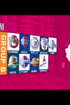 WCBA四分之一决赛 东莞新彤盛VS山东赤水河酒 20250311