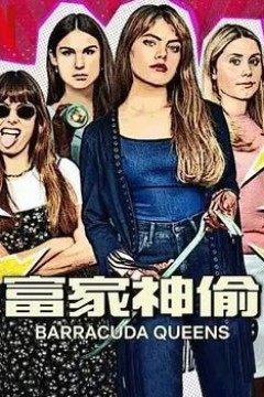 富家神偷第二季