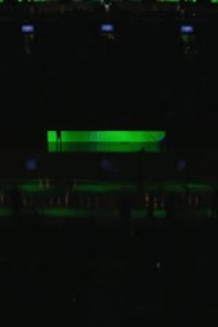 NBA常规赛 开拓者VS鹈鹕 20250109