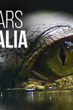 狂野澳洲第四季