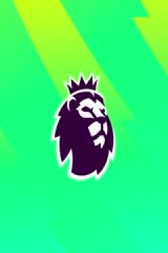 英超联赛 布伦特福德VS纽卡斯尔联 20240519