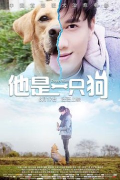 他是一只狗
