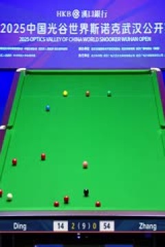 2025斯诺克武汉公开赛延期资格赛及64进32丁俊晖5-1张浩20250824