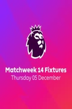 英超联赛 布伦特福德VS莱斯特城 20241130