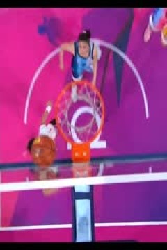 WCBA常规赛 河南垚鑫体育vs武汉盛帆白鹤 20240222