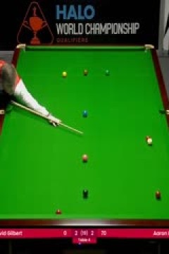 24-25赛季斯诺克世锦赛资格赛Day9 大卫·吉尔伯特3-6亚伦·希尔(第一阶段) 20250416