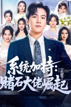 统加持：赌石大佬崛起(少年赌神：从原石到顶流)