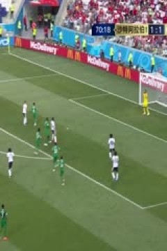 沙特阿拉伯VS埃及