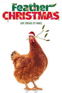 宠物鸡与圣诞节