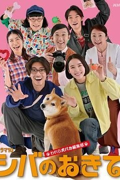 柴犬的规矩我们这群狗痴编辑部