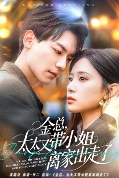 金总，太太又带小姐离家出走了-金总太太又带小姐离家出走了