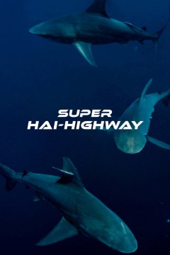 超級鯊魚大道(港)