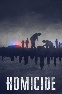 凶杀重案实录：纽约第二季