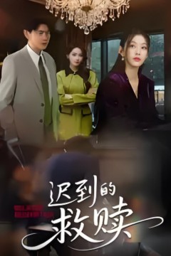 迟到的救赎2025