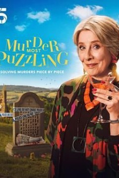 谋杀解谜专栏机翻