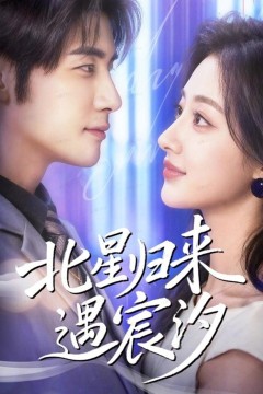 北星归来遇宸汐