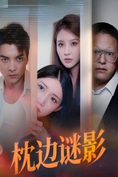 枕边谜影(我撞破了妻子的秘密)