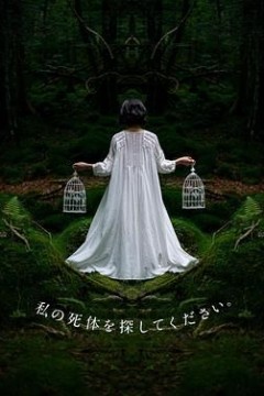 请寻找我的尸体