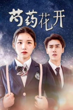 芍药花开(火光中的芍药花)