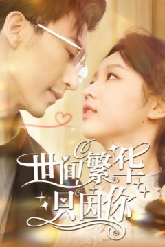 新世间繁华只因你