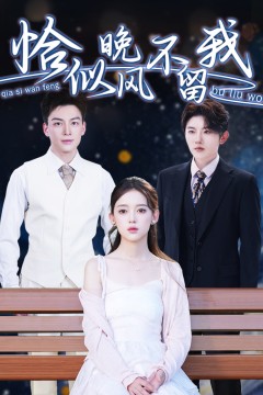 恰似晚风不留我(弃他如风)