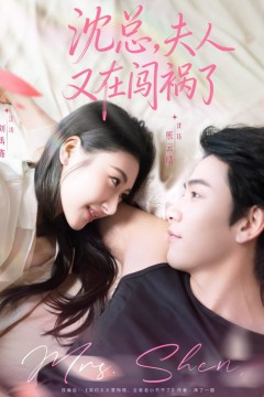 沈总，夫人又在闯祸了