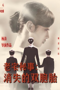 老宅秘事消失的双胞胎(消失的孩子)