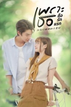 致我们单纯的小美好国语版