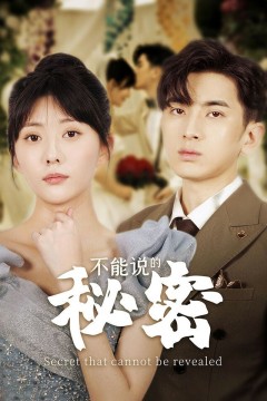 不能说的秘密