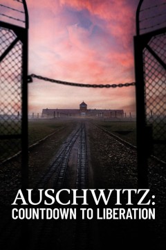 奥斯维辛：解放倒计时