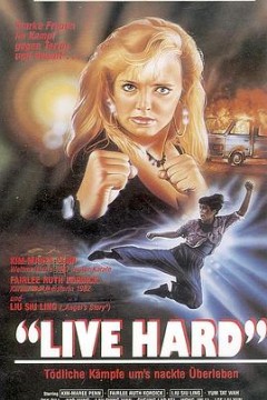 铁胆雄风(国语版)