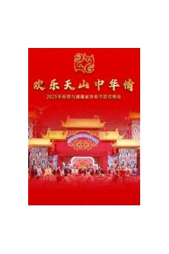 2025年新疆与援疆省市春节联欢晚会