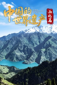中国的世界遗产·西北篇