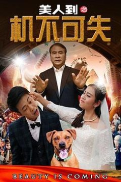 美人到之机不可失