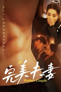 完美夫妻