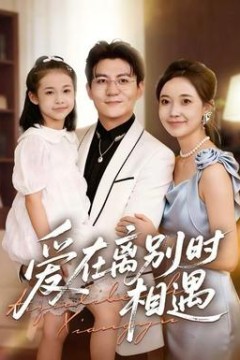 爱在离别时相遇