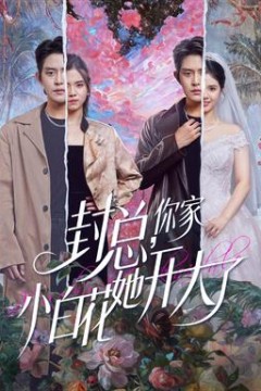 封总，你家小白花她开大了