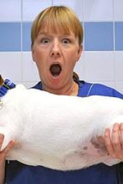 肥宠年度减肥大赛第一季