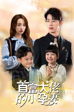 首富大佬的小孕妻