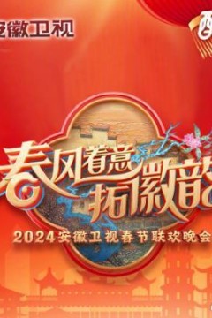 2025安徽卫视春晚