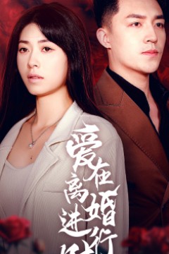 爱在离婚进行时短剧