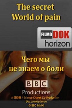 地平线系列：疼痛的秘密