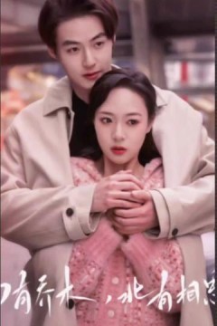 南有乔木，北有相思