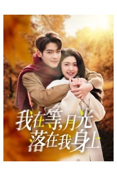 我在等月光落在我身上