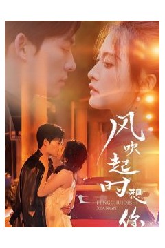 风吹起时想你