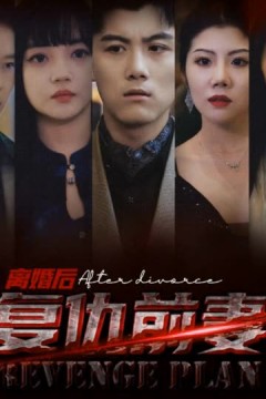 离婚后，复仇前妻