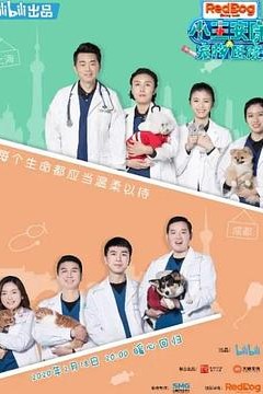 小主安康－宠物医院2